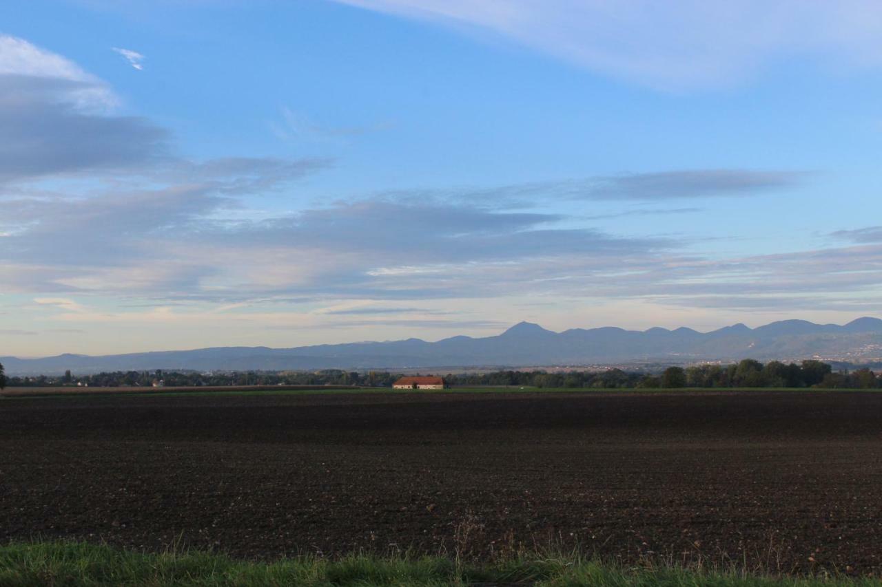 "Les Monnats" Gite 8 Personnes A La Campagne Chaptuzat Exterior photo